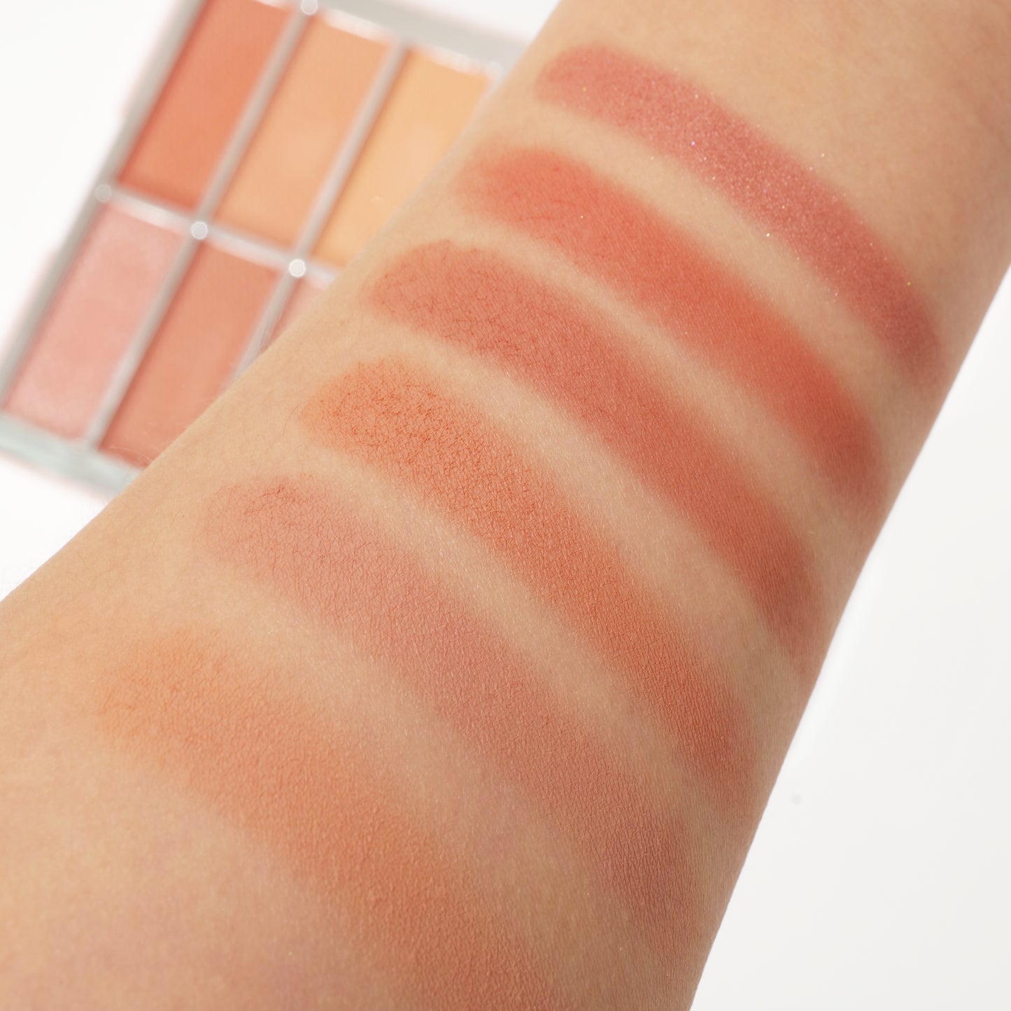 Miss Rose 6 Color Blusher | 7004-093DN24